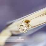 Frederique Constant FC-245VA5S5