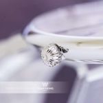 Frederique Constant FC-245WR5S6B